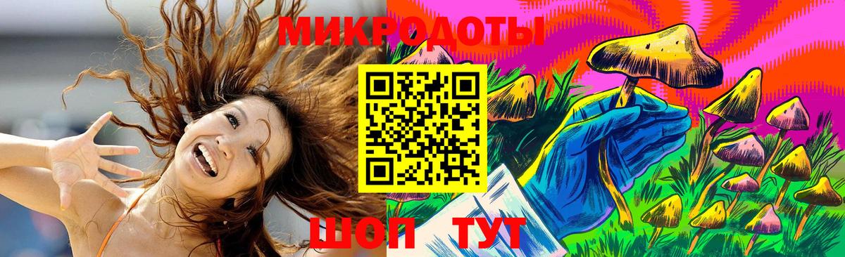 Семилуки  Галлюциногенные грибы Psilocybe  Вход с VPN 